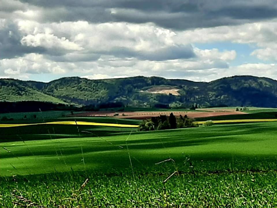 Zielona Roza Villa Wambierzyce Kültér fotó