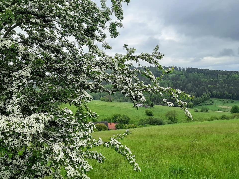 Zielona Roza Villa Wambierzyce Kültér fotó