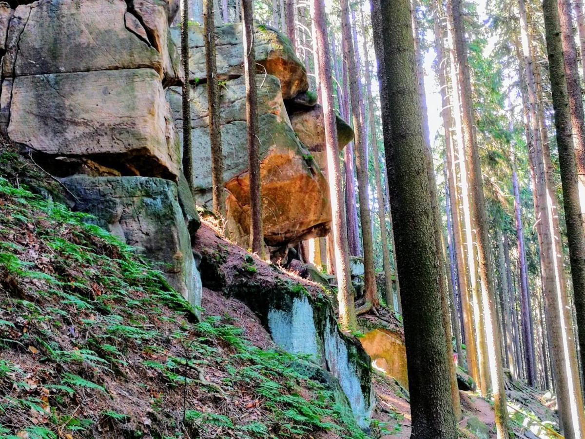 Zielona Roza Villa Wambierzyce Kültér fotó